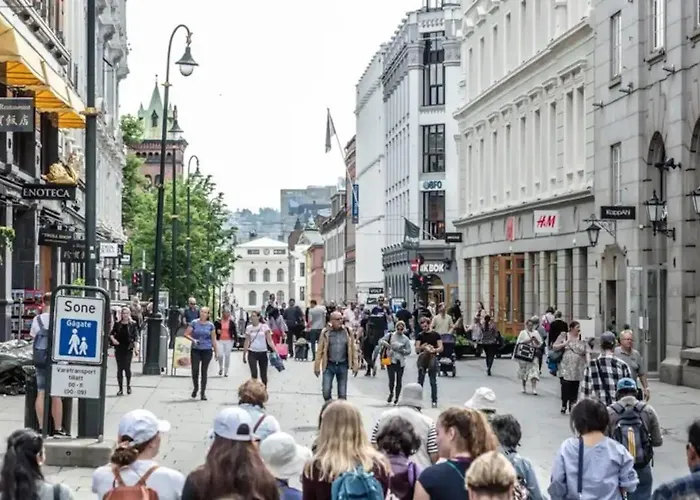 Magnificent Modern Apartment